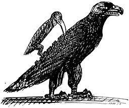 Illustrations