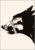 Le chien