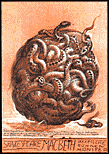 F. Starowieyski