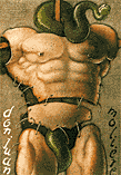 G. Gorowski